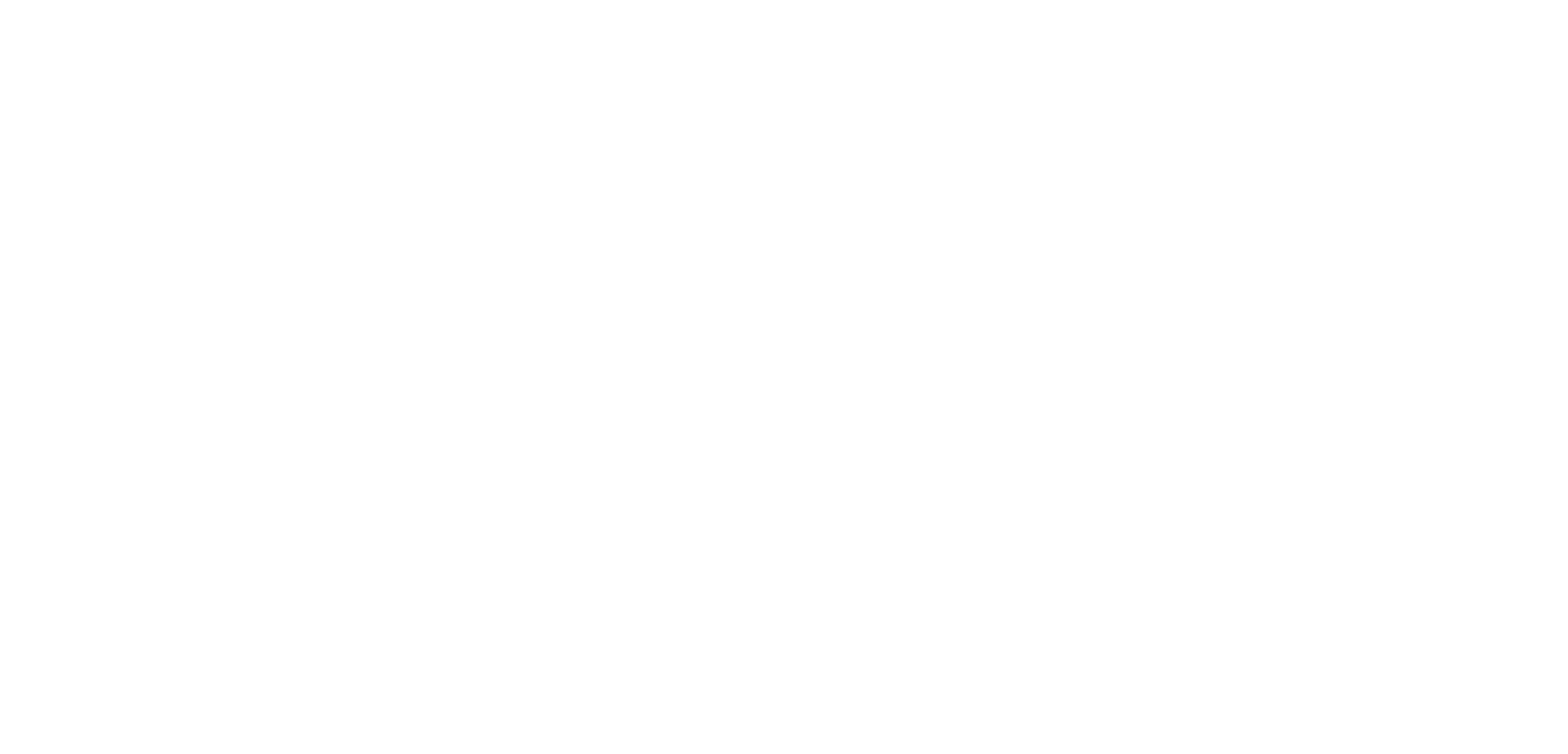 Spark by Lightning Nutra logo